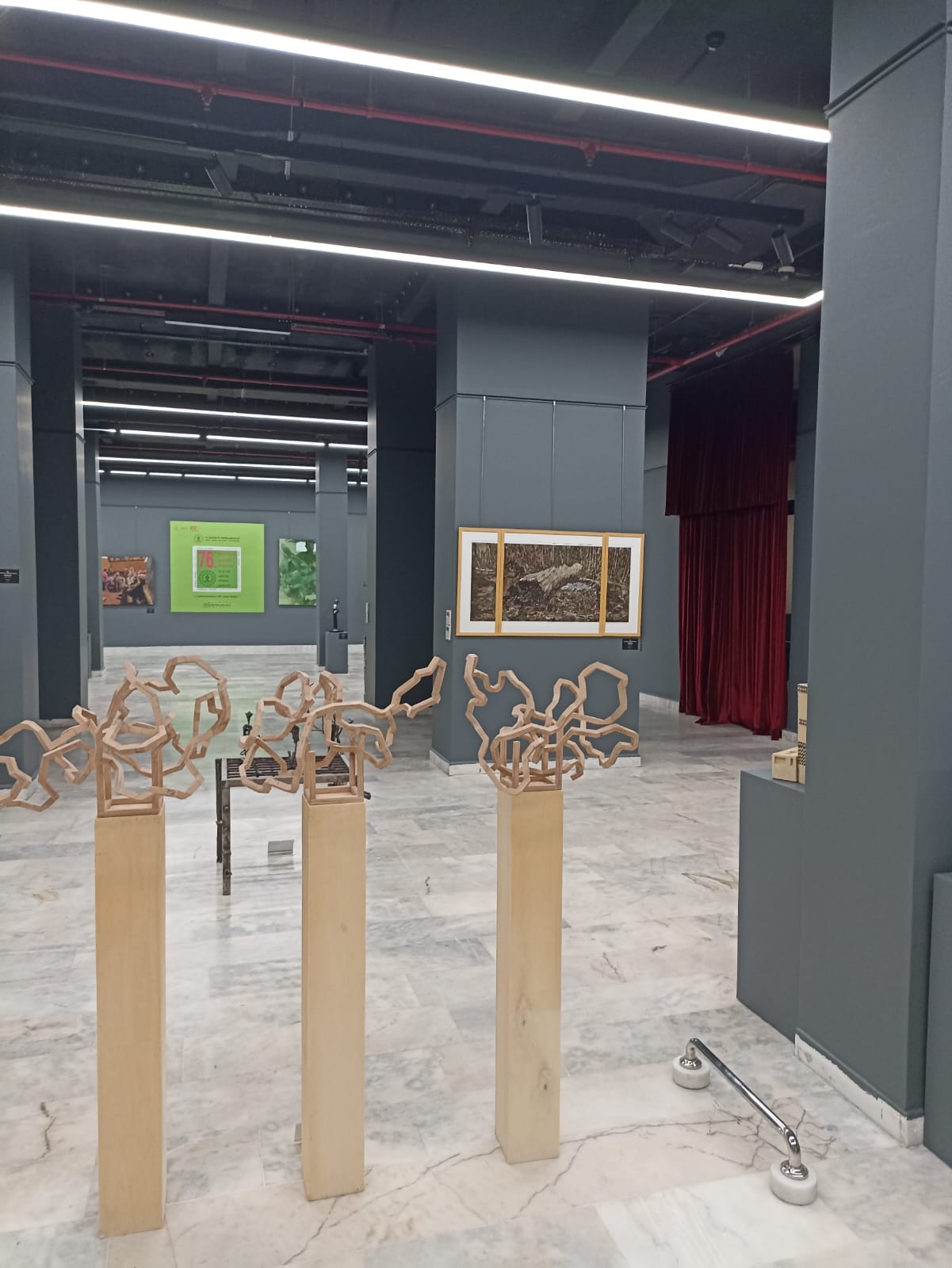 Ankara Resim ve Heykel Müzesi